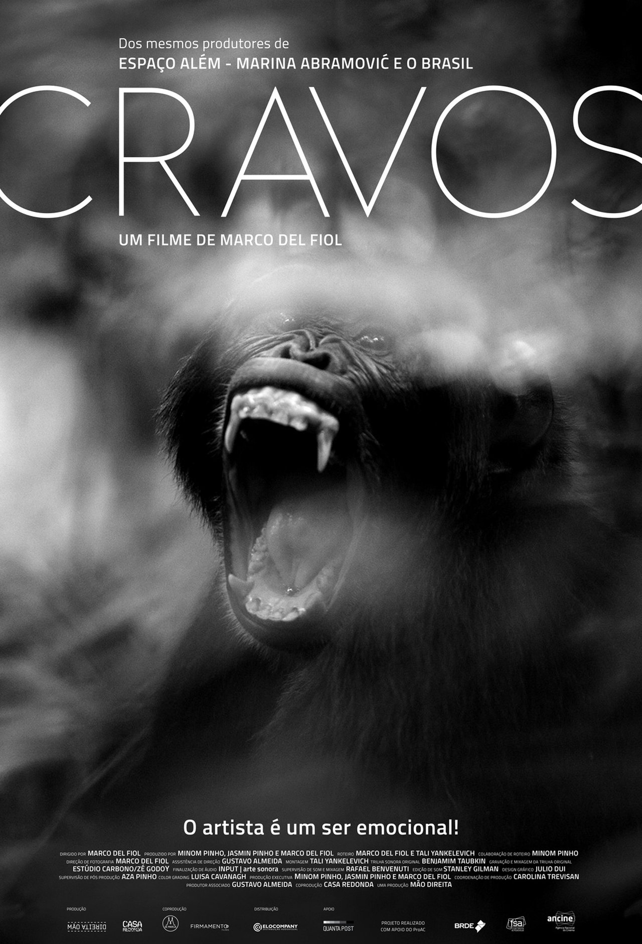 Cravos Cravos