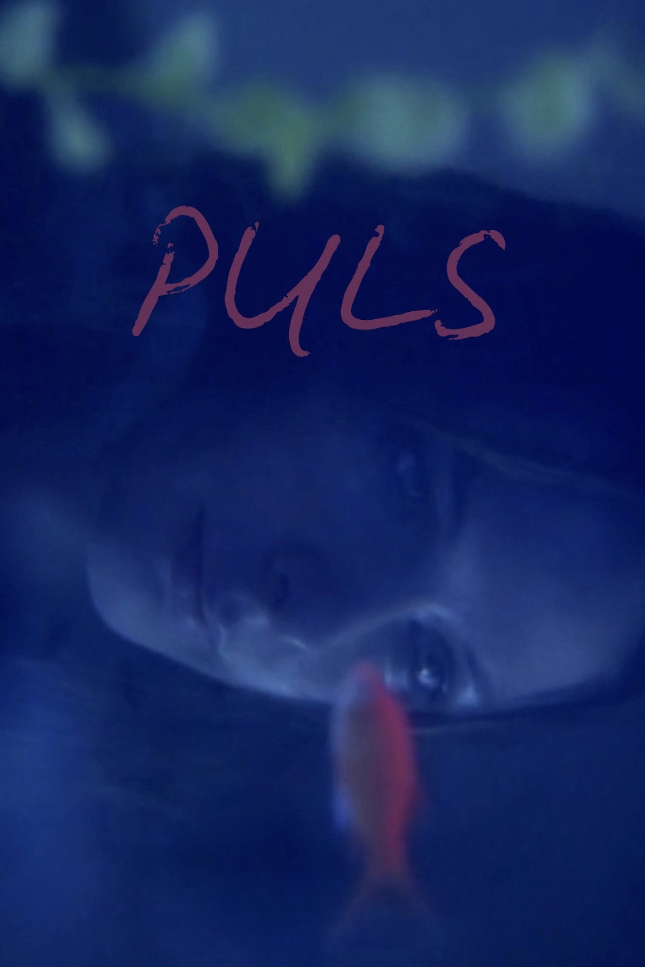 Puls filmaffisch