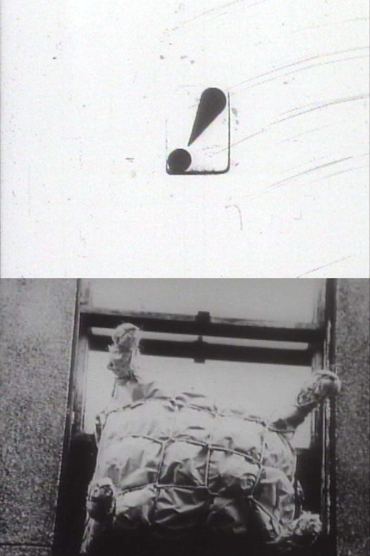 Hi-Red Centre Shelter Plan Backdrop