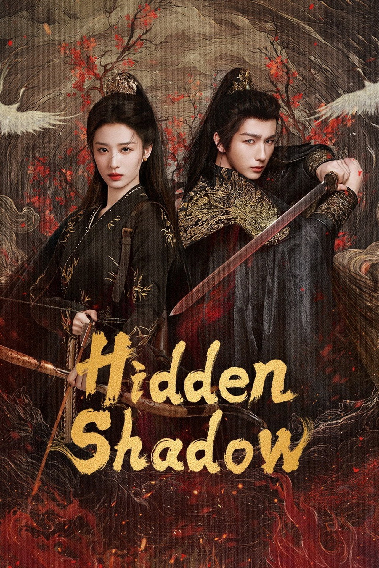 Hidden Shadow