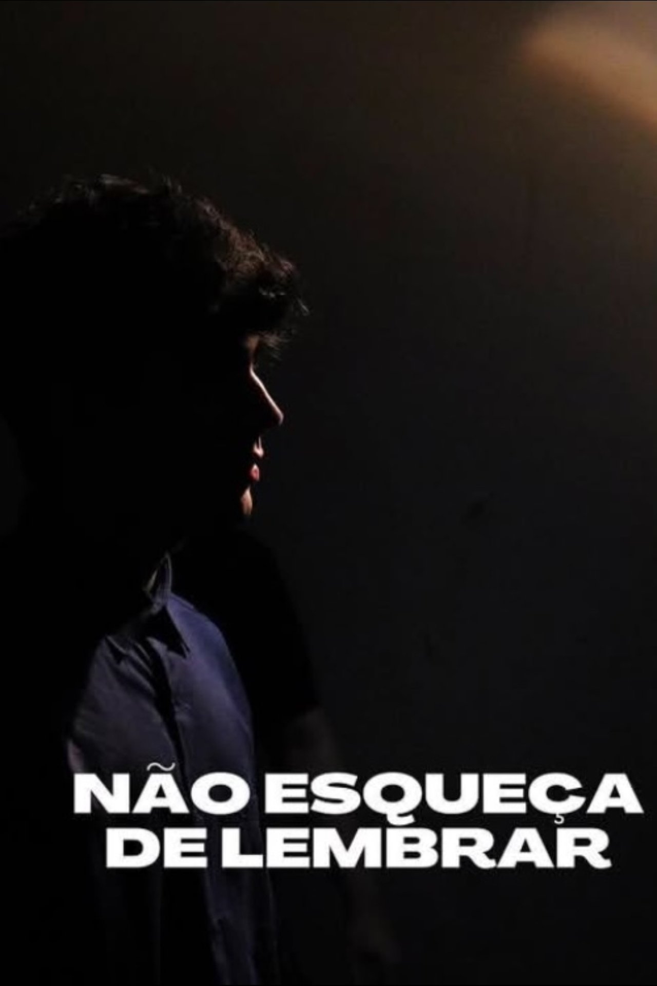 Não Esqueça de Lembrar poster