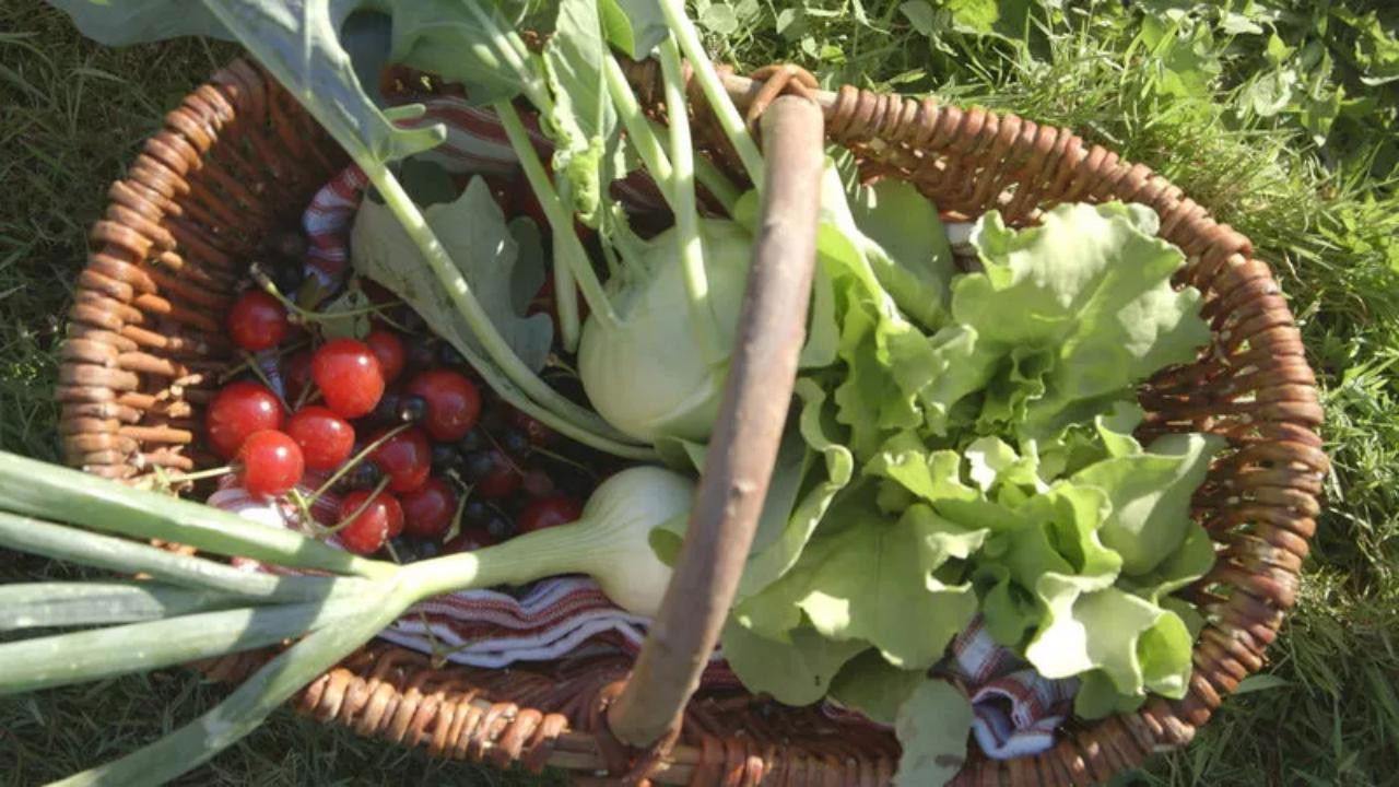 Leschs Kosmos — Épisode 9