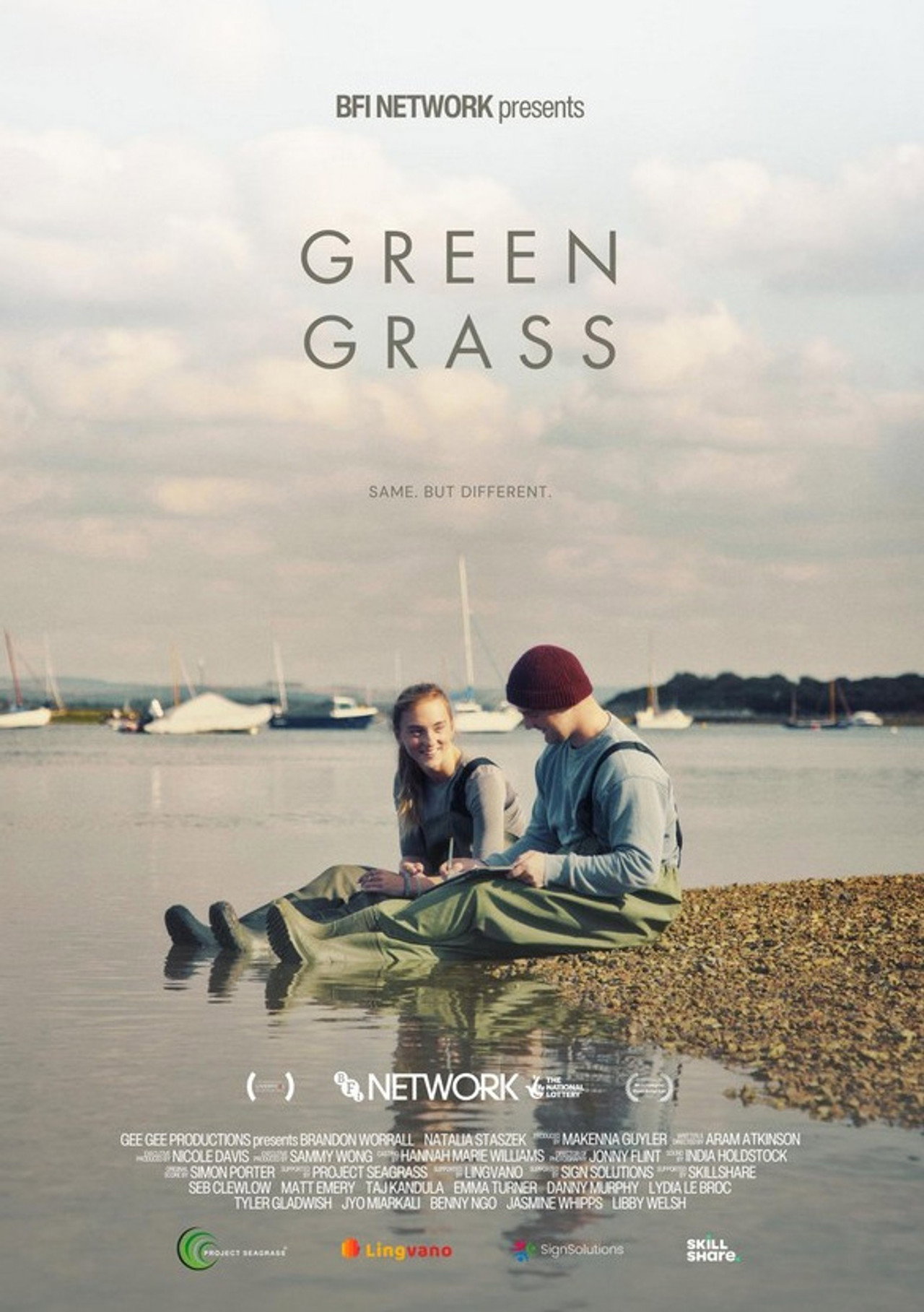 Green Grass Backdrop