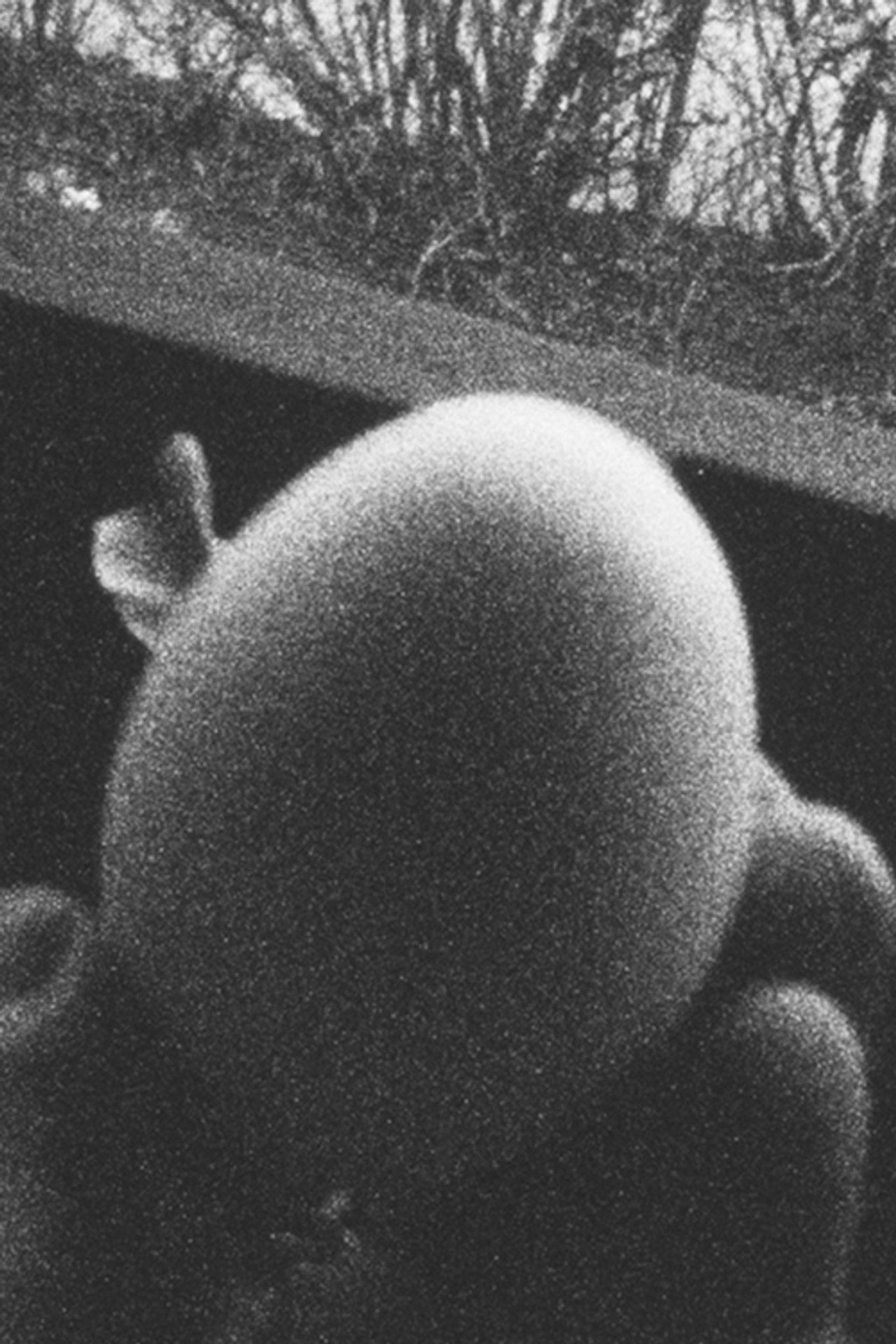 13 Eggs filmaffisch