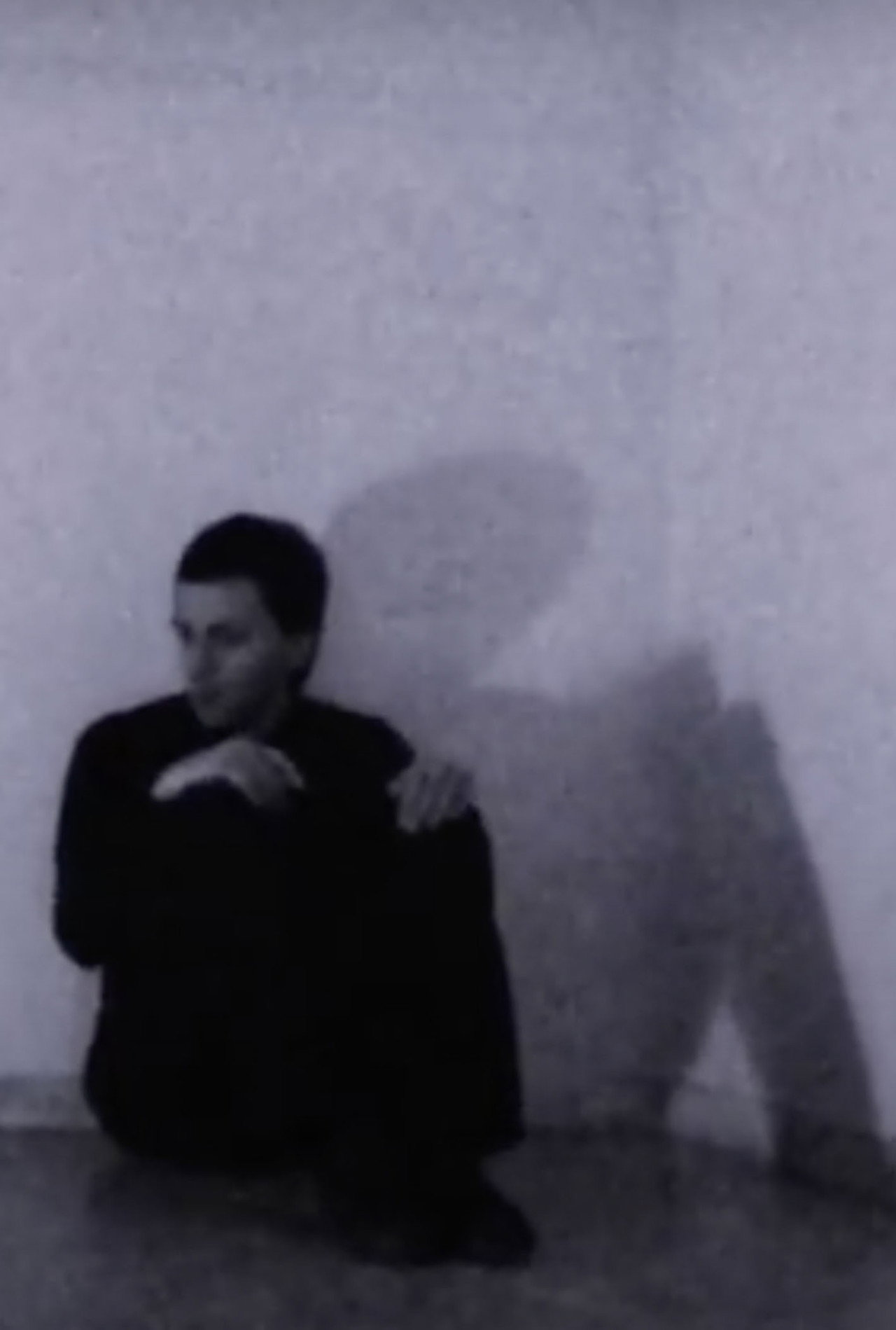 Fever Dream filmaffisch