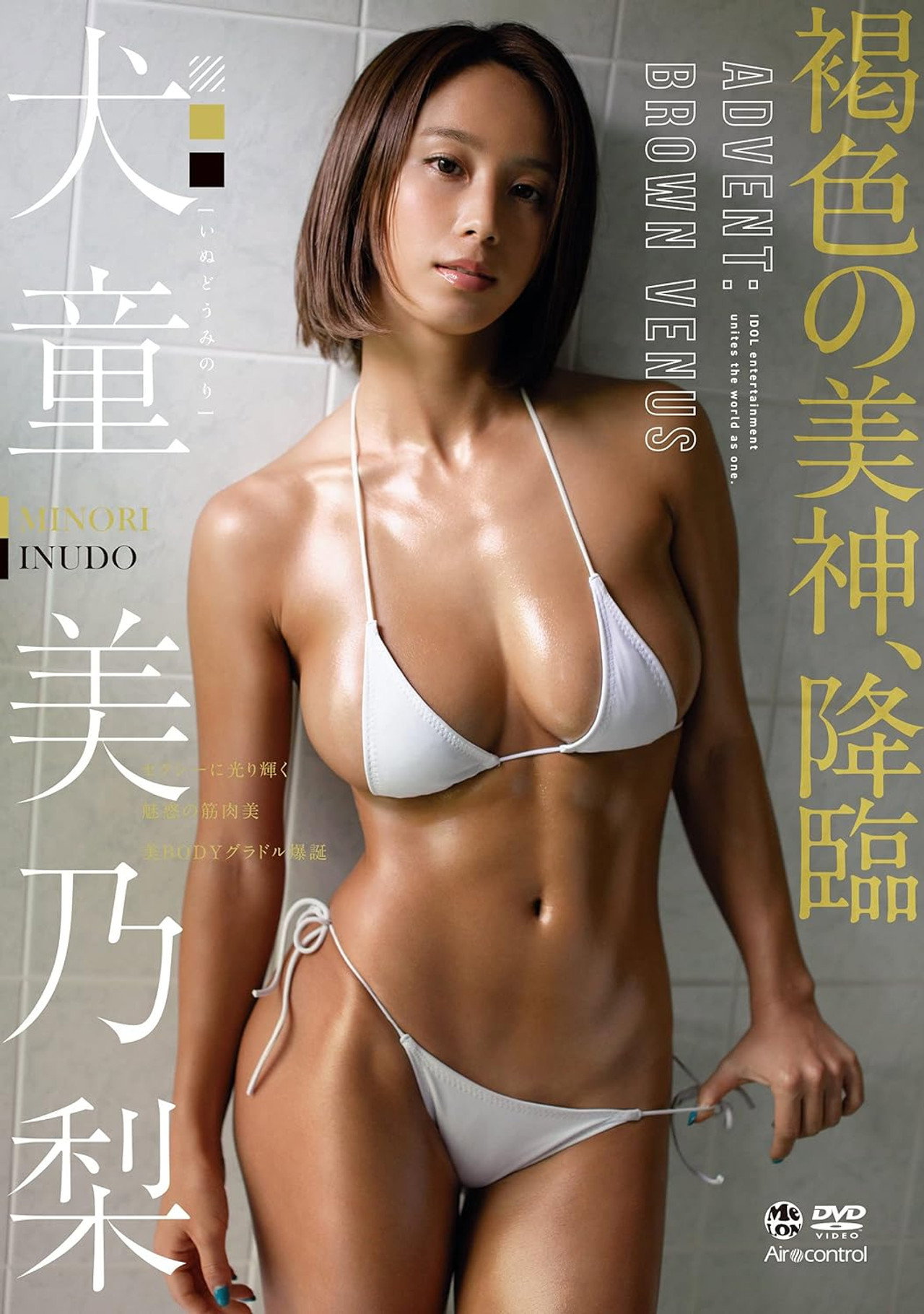 褐色の美神、降臨 犬童美乃梨 Aircontrol filmaffisch