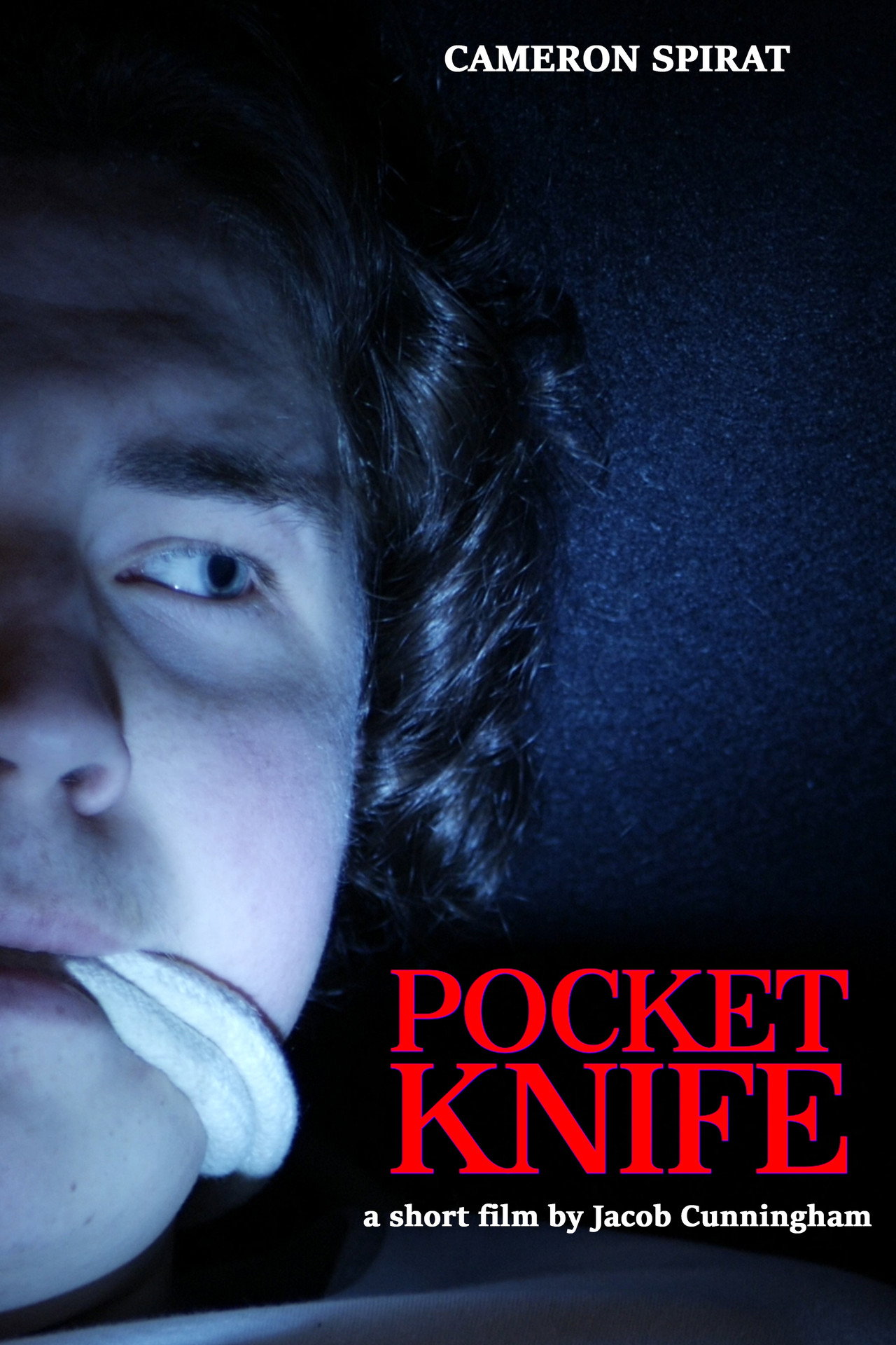 Pocket Knife filmaffisch
