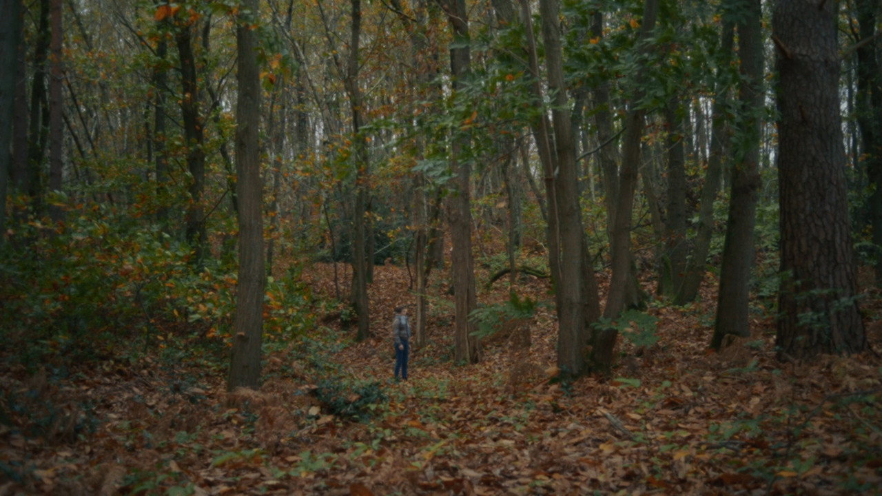 scenes 5