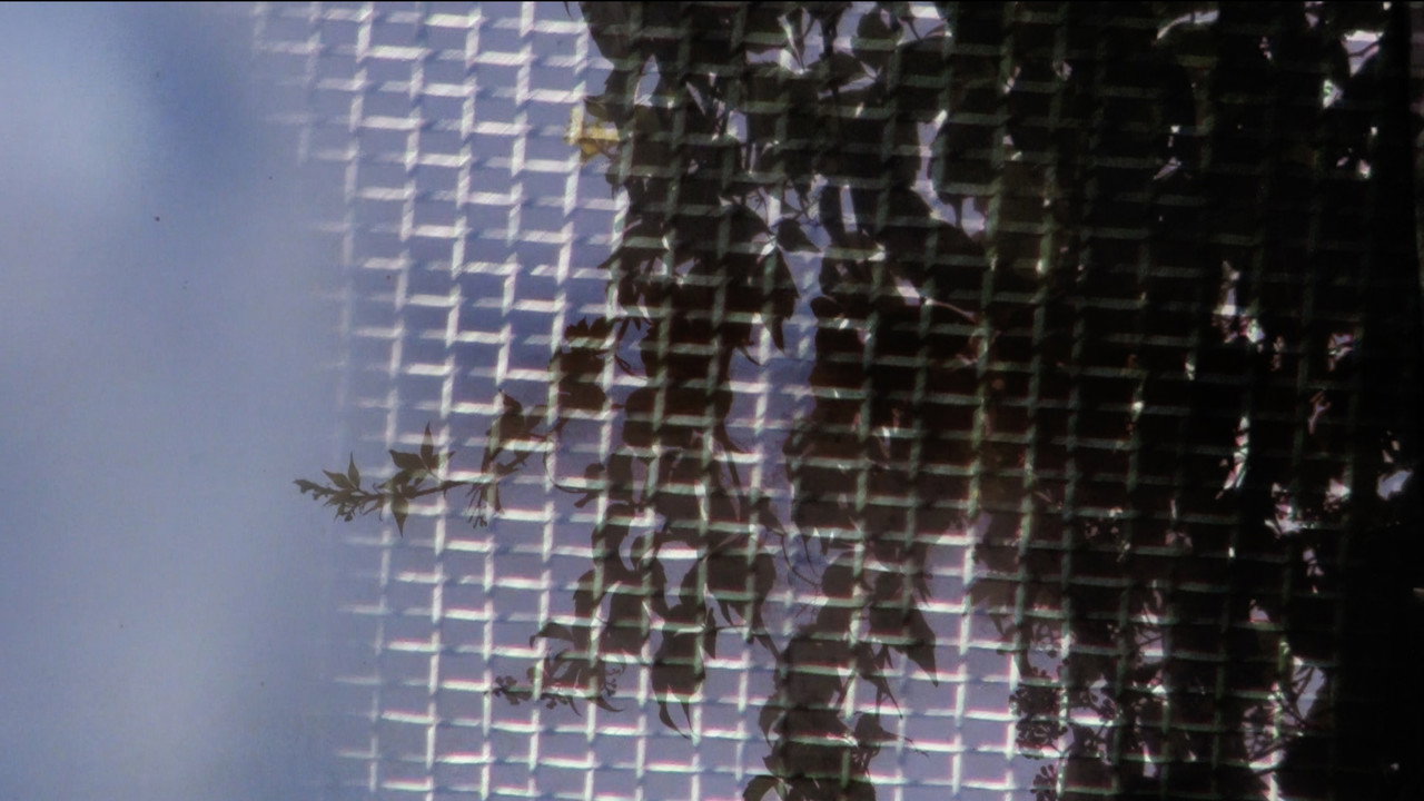 This Is Not a Camera Test