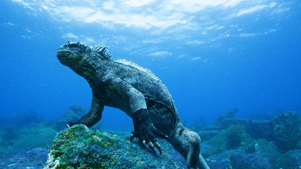 Galapagos 3D: Nature's Wonderland background