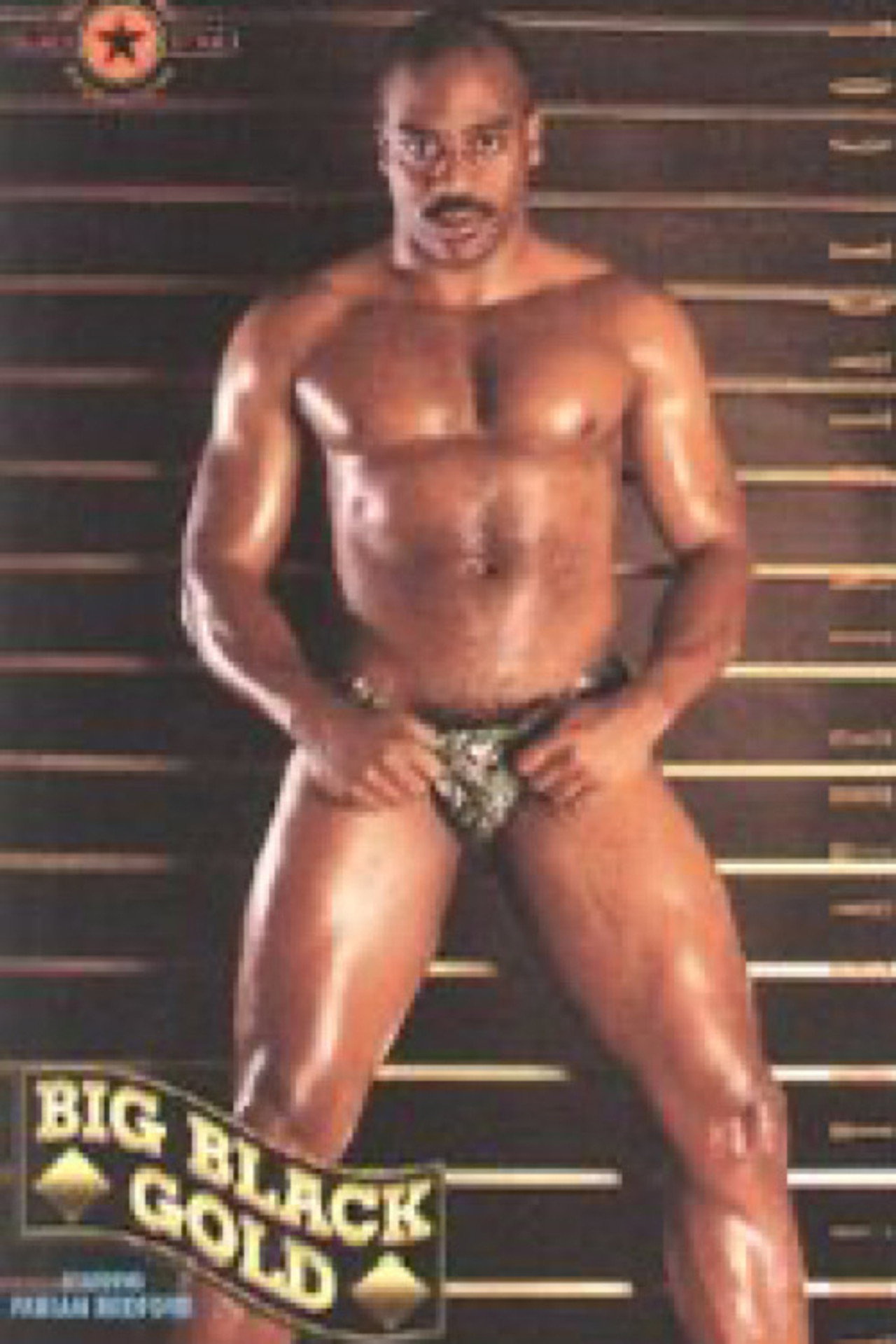 Big Black Gold Backdrop