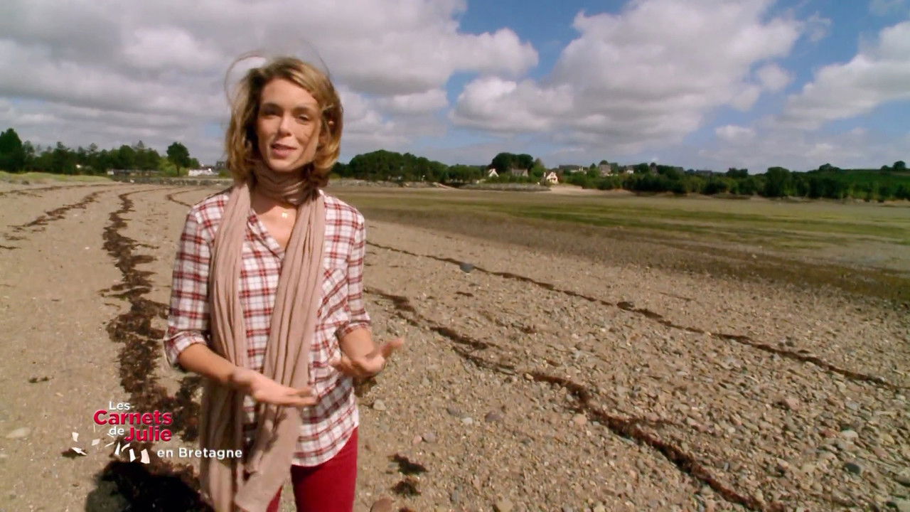 Les Carnets de Julie — La baie de Saint-Brieuc