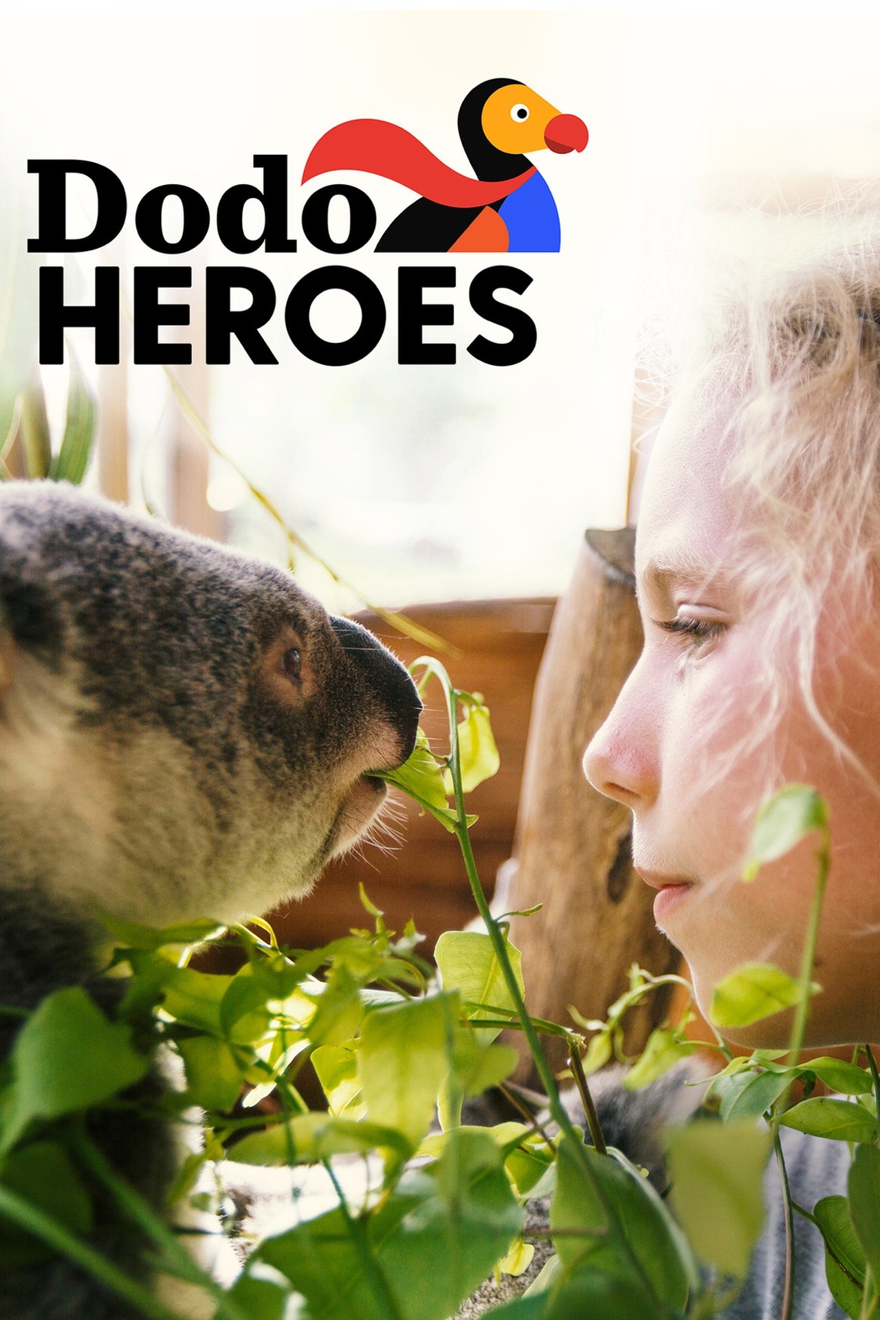 Poster Dodo Heroes