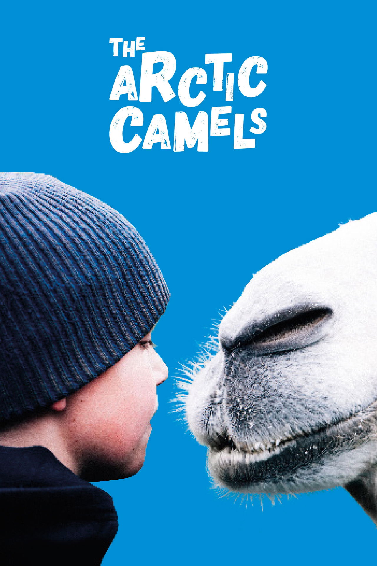 The Arctic Camels poster