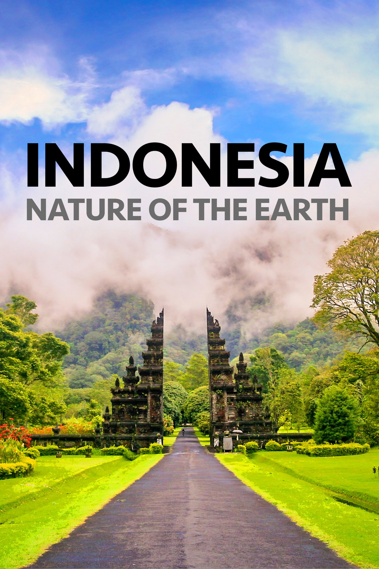 Indonesia Nature of the Earth Backdrop
