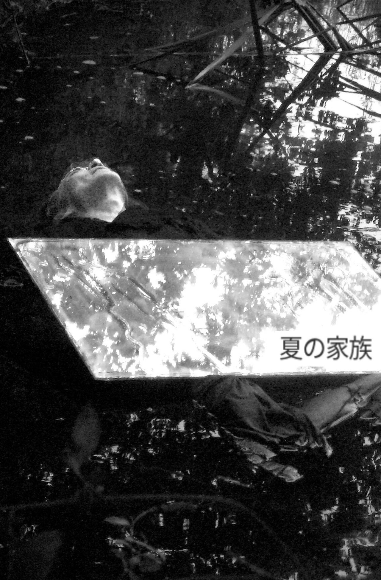 夏の家族 夏の家族