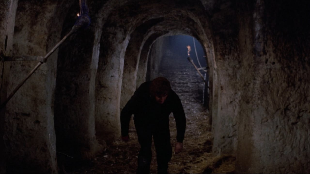 Hunchback of the Morgue (1973)