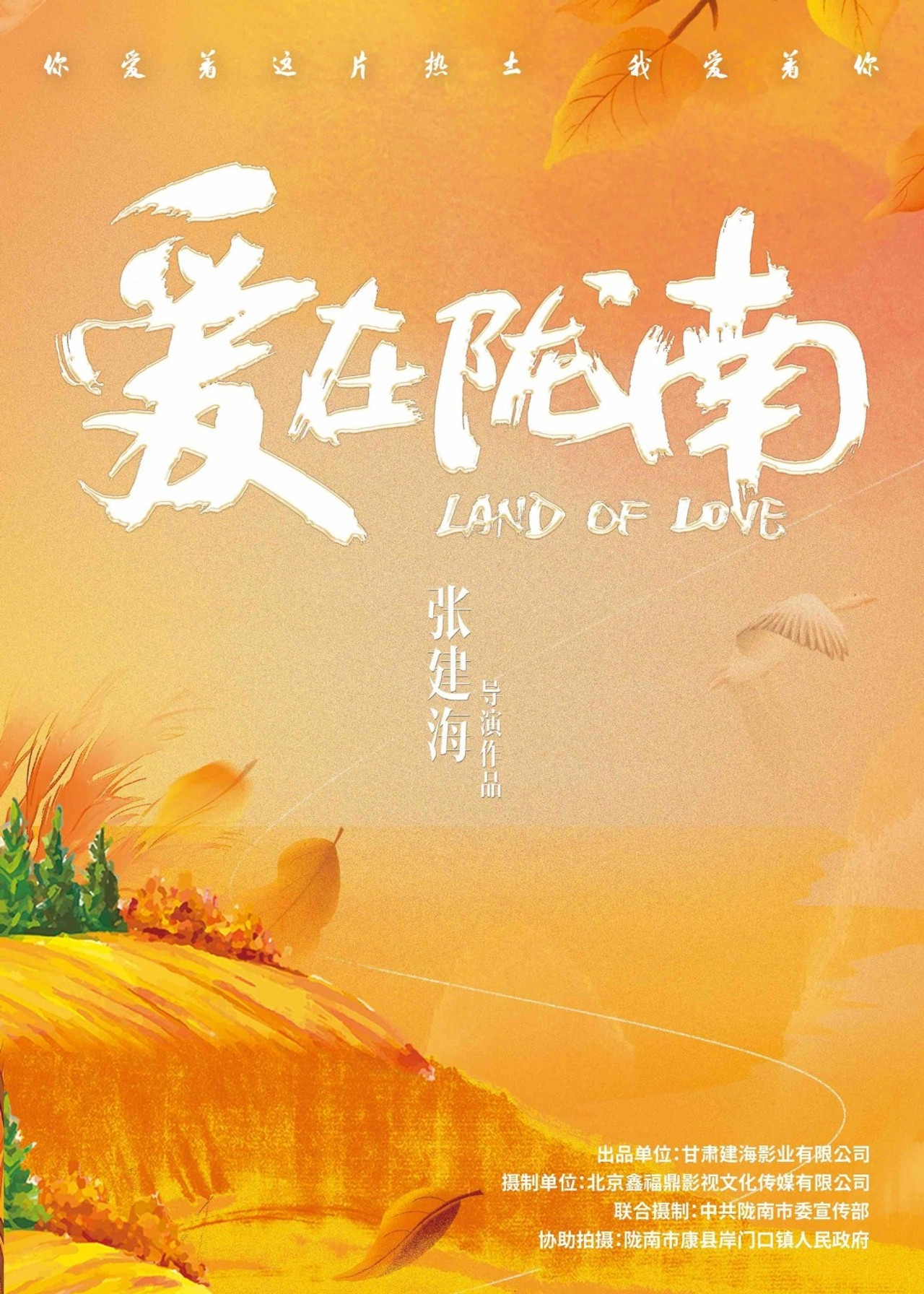 爱在陇南 filmaffisch