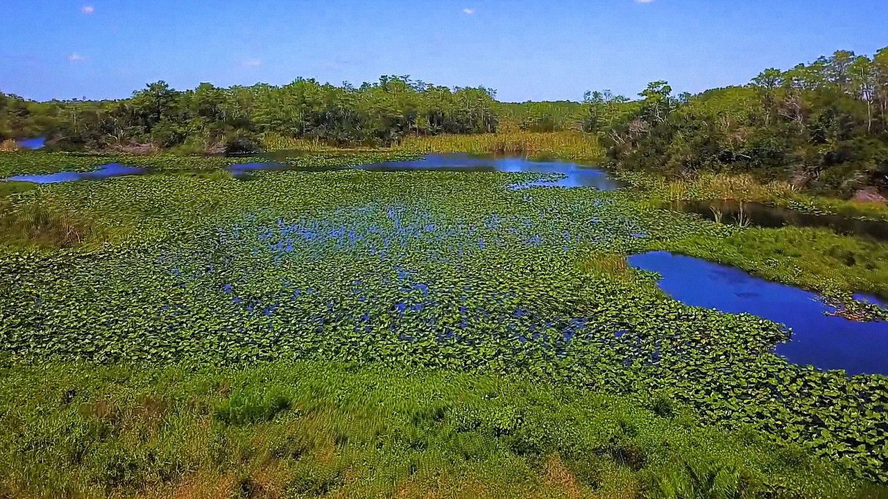 PARK'D — Épisode 4