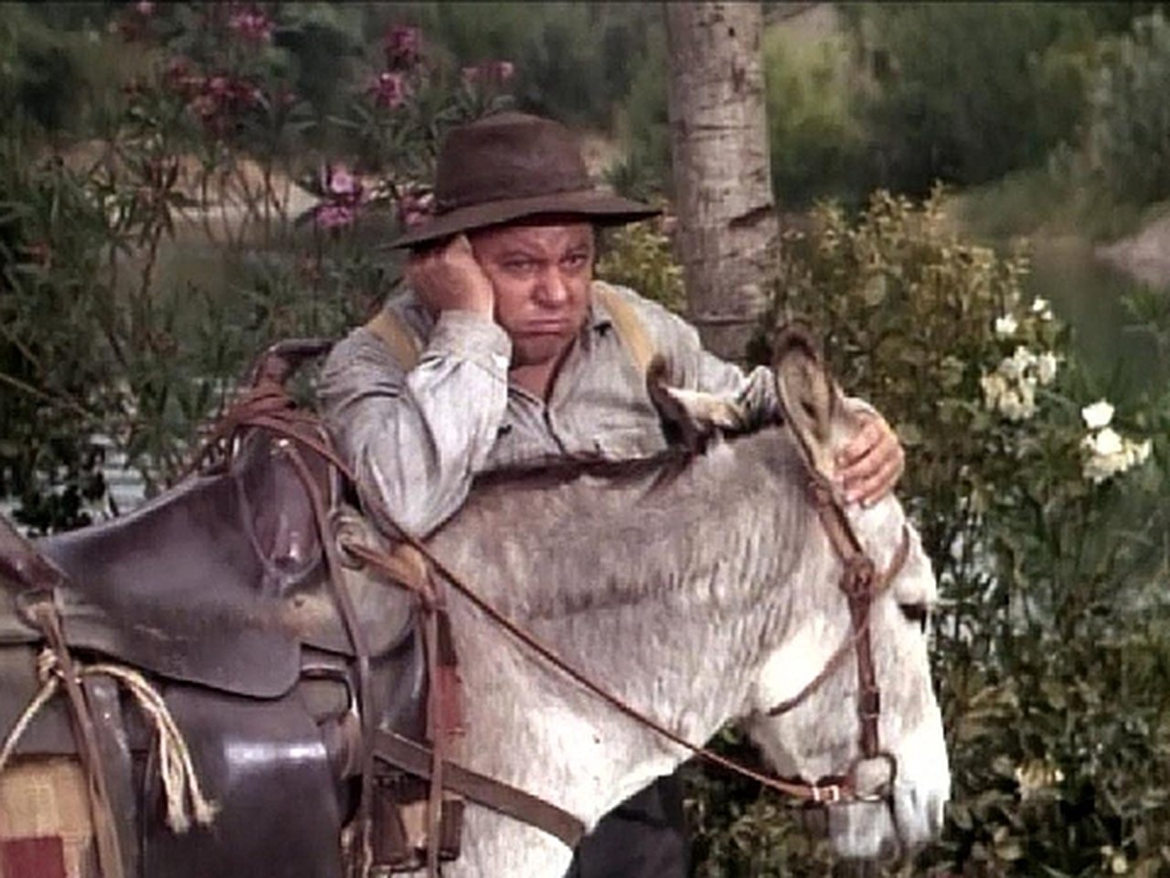 The Big Valley - Season 4 Episode 6 : The Jonah