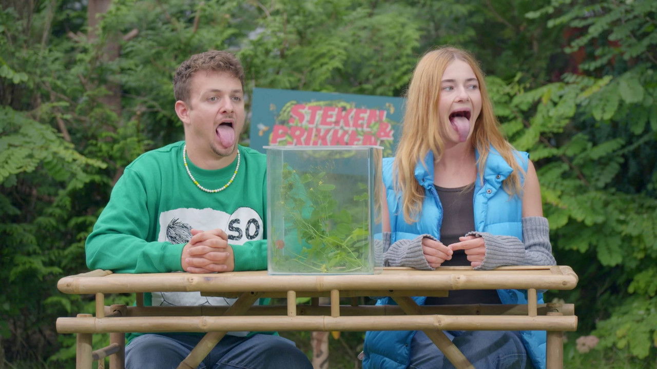 Steken en Prikken - Season 2 Episode 3 : Episode 3