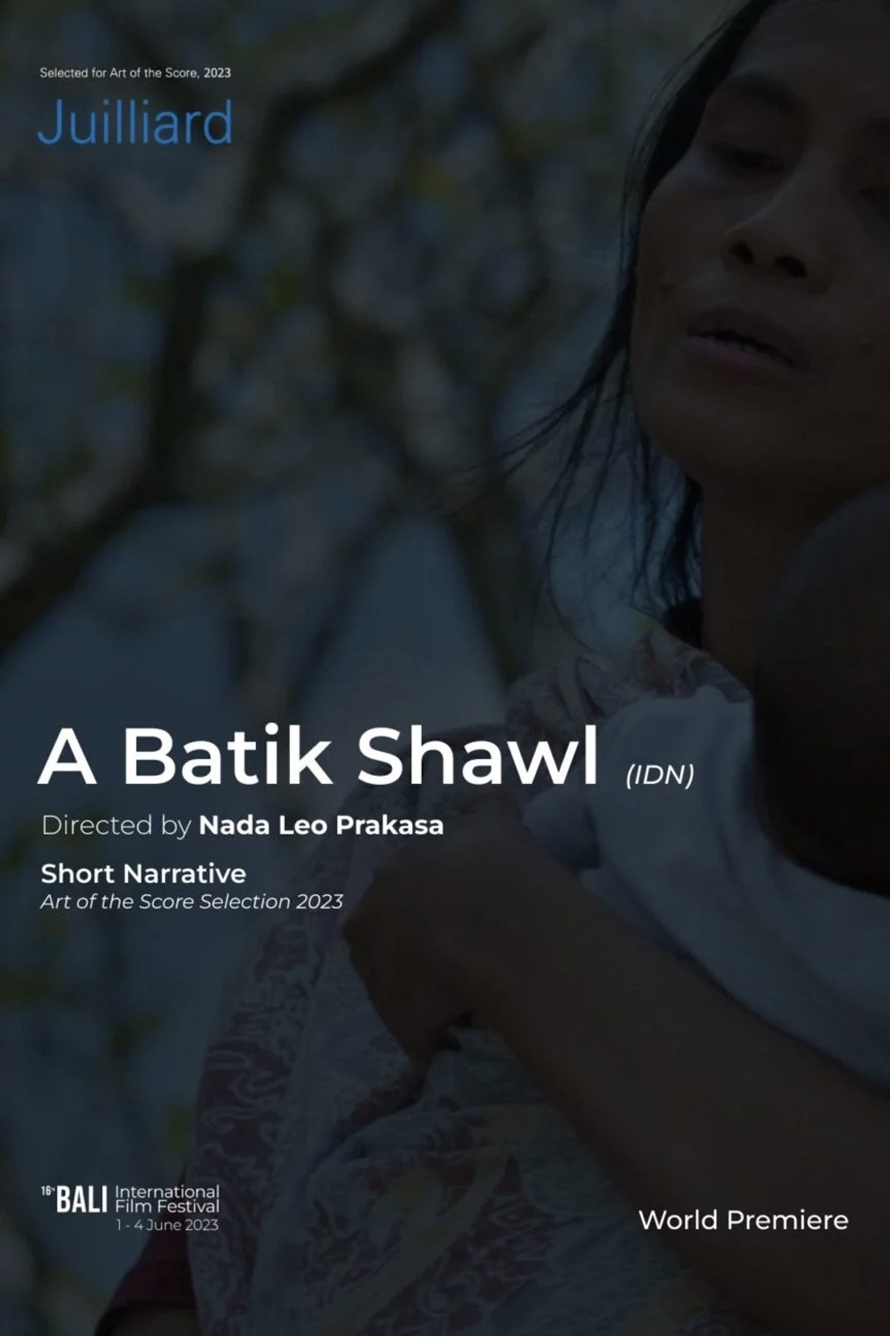 A Batik Shawl Backdrop