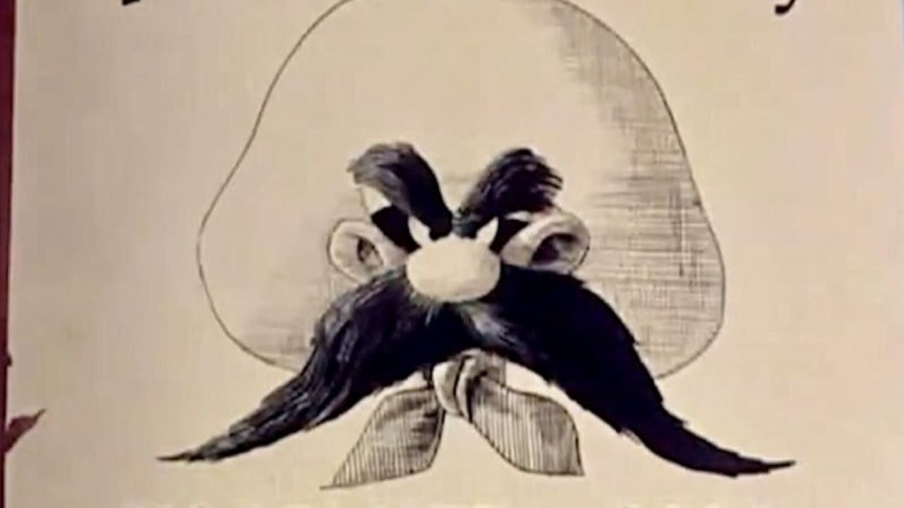 title image