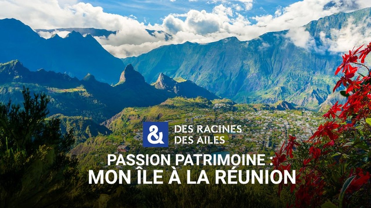 Des racines & des ailes - Season 28 Episode 9 : Episode 9