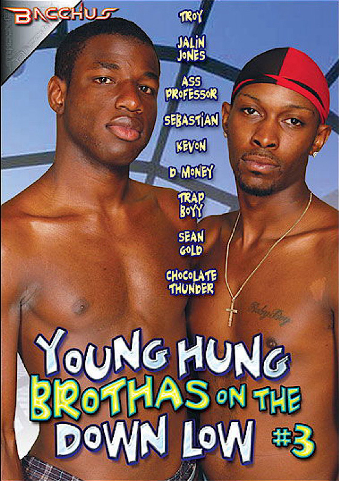 Young Hung Brothas on the Down Low 3 filmaffisch