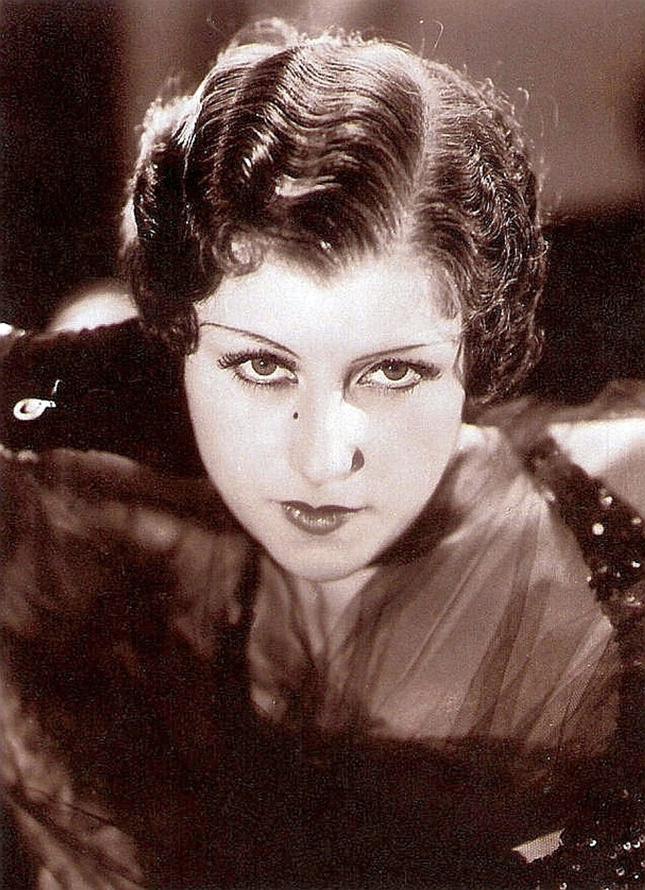 The Sinister Guest Backdrop