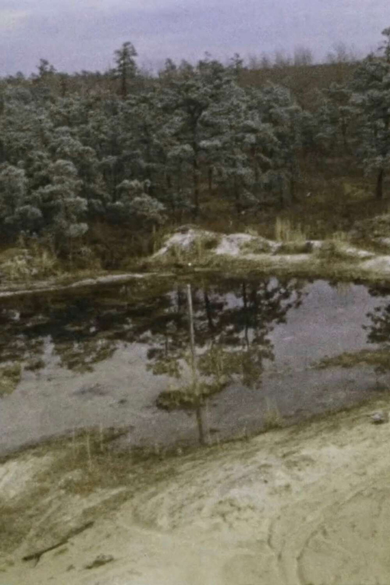 Pine Barrens filmaffisch