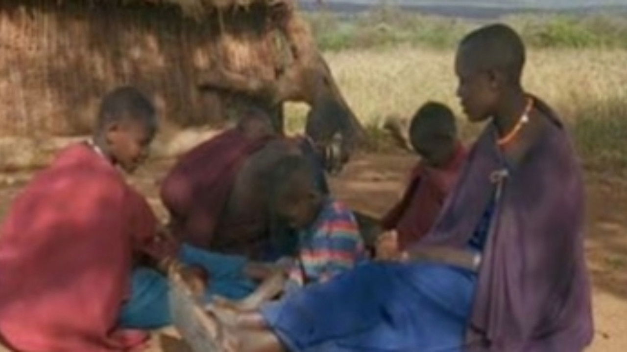 Nature - Season 20 Episode 1 : Africa: Savanna Homecoming