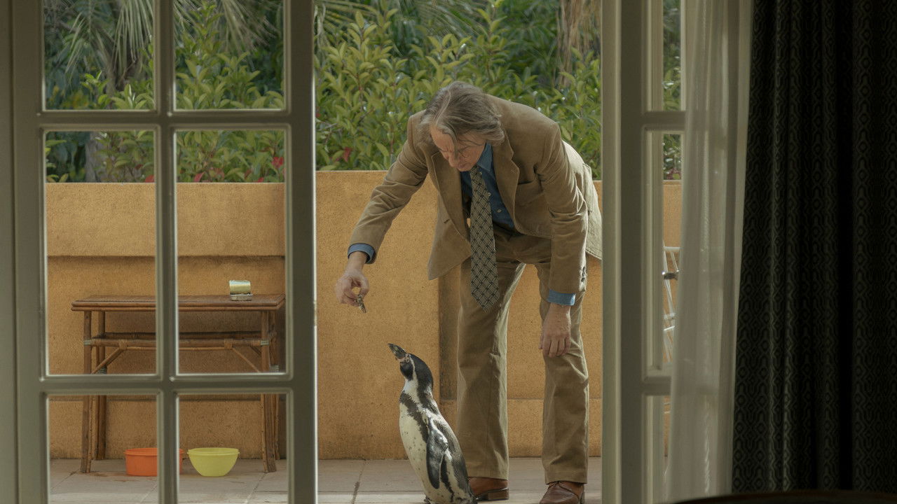 The Penguin Lessons backdrop