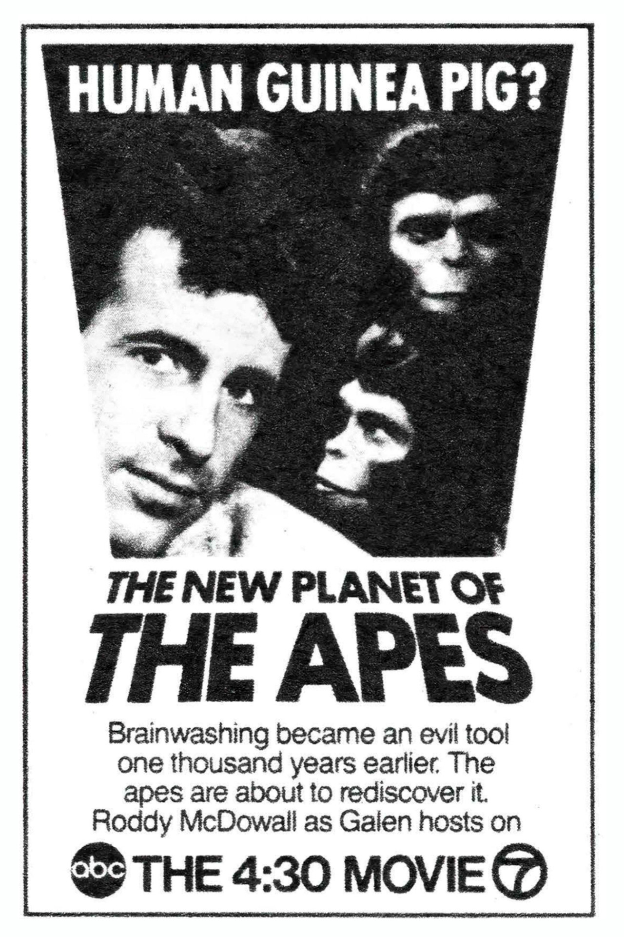 Life, Liberty and Pursuit on the Planet of the Apes still 6