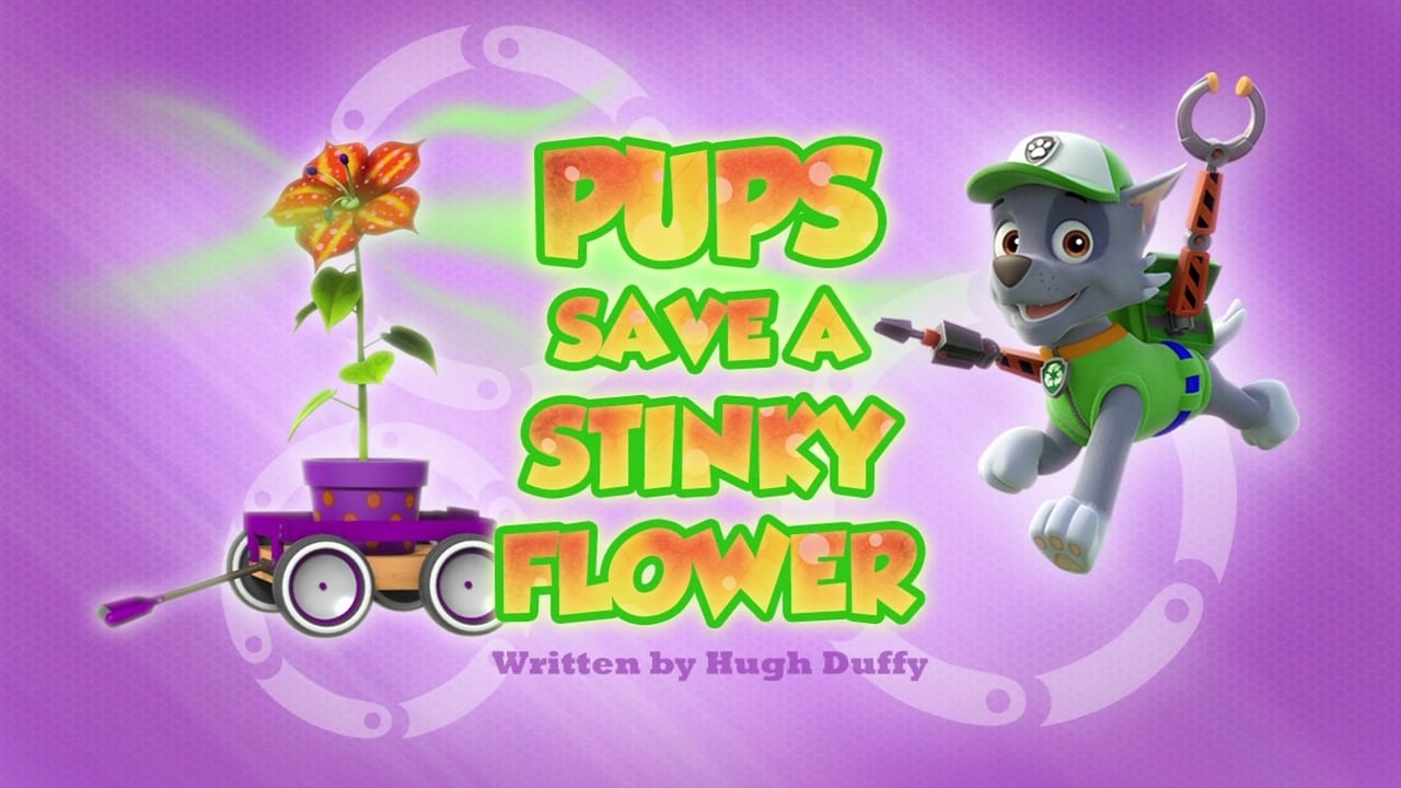 PAW Patrol - Season 3 Episode 32 : Pups Save a Stinky Flower