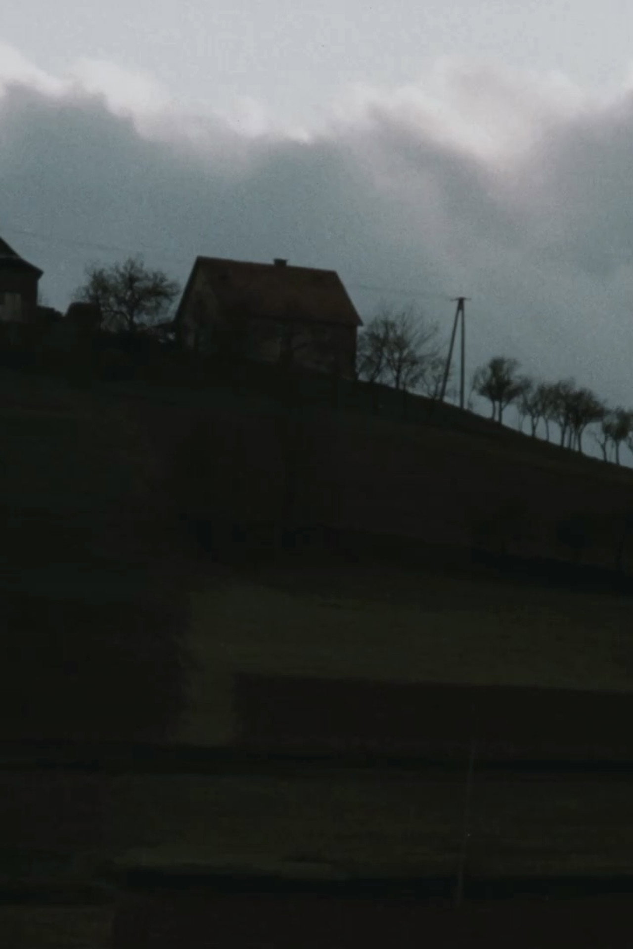 Dedykacja