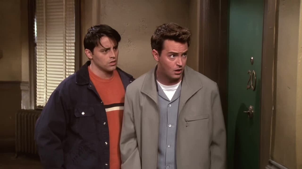 Friends - Season 4 Episode 19 : The One with All the Haste