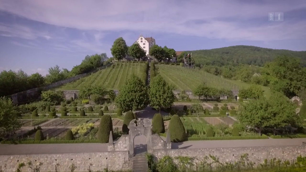 The best of our gardens