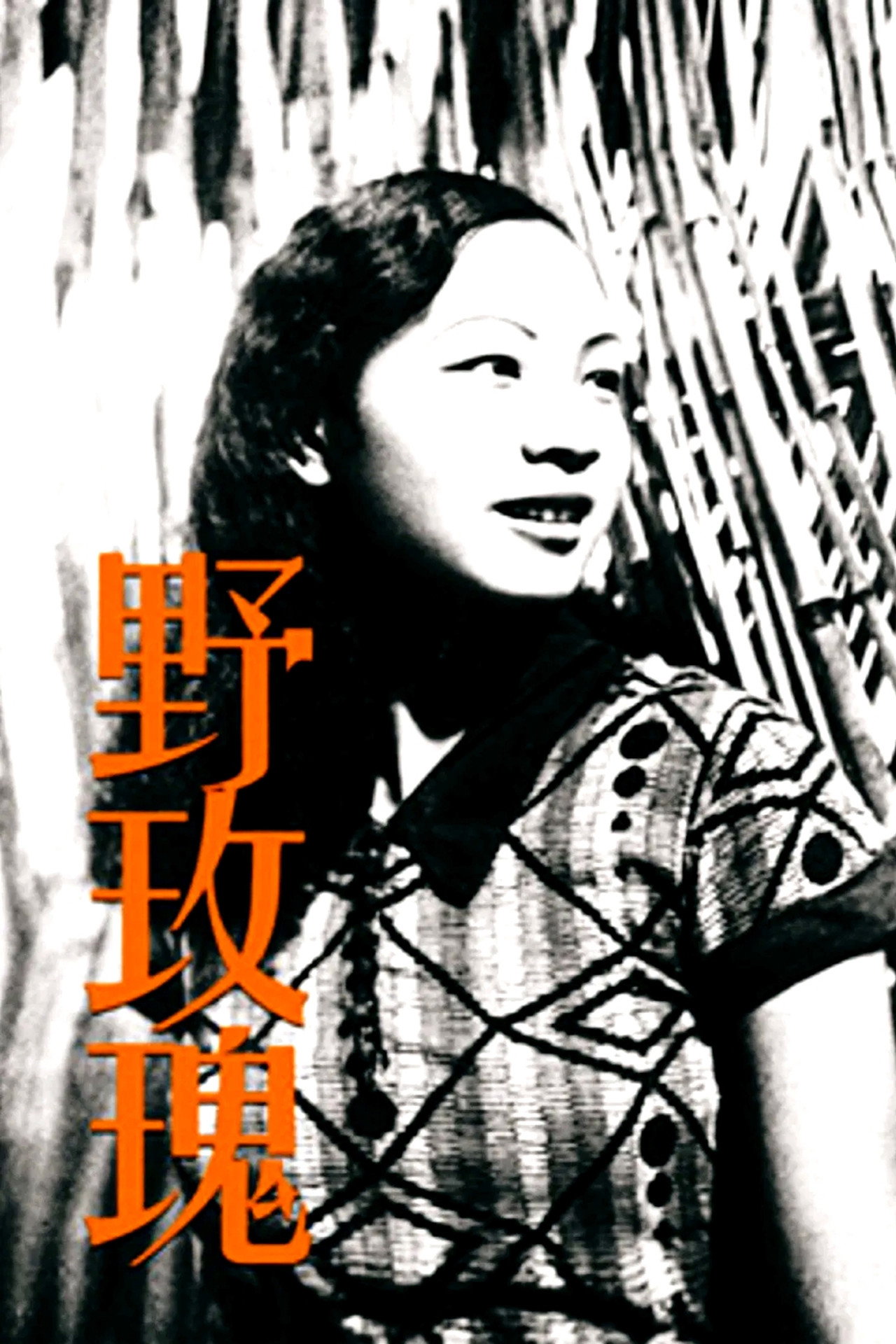 野玫瑰 filmaffisch