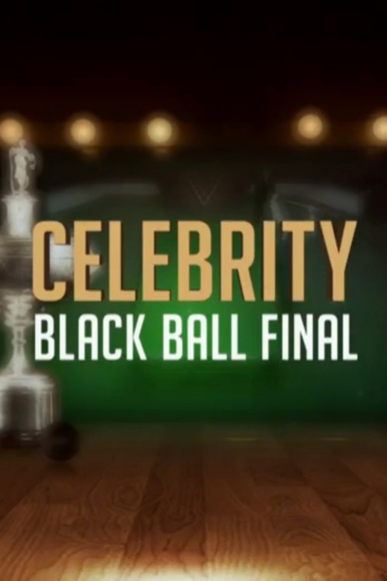 Celebrity Black Ball Final with Steve Davis filmaffisch