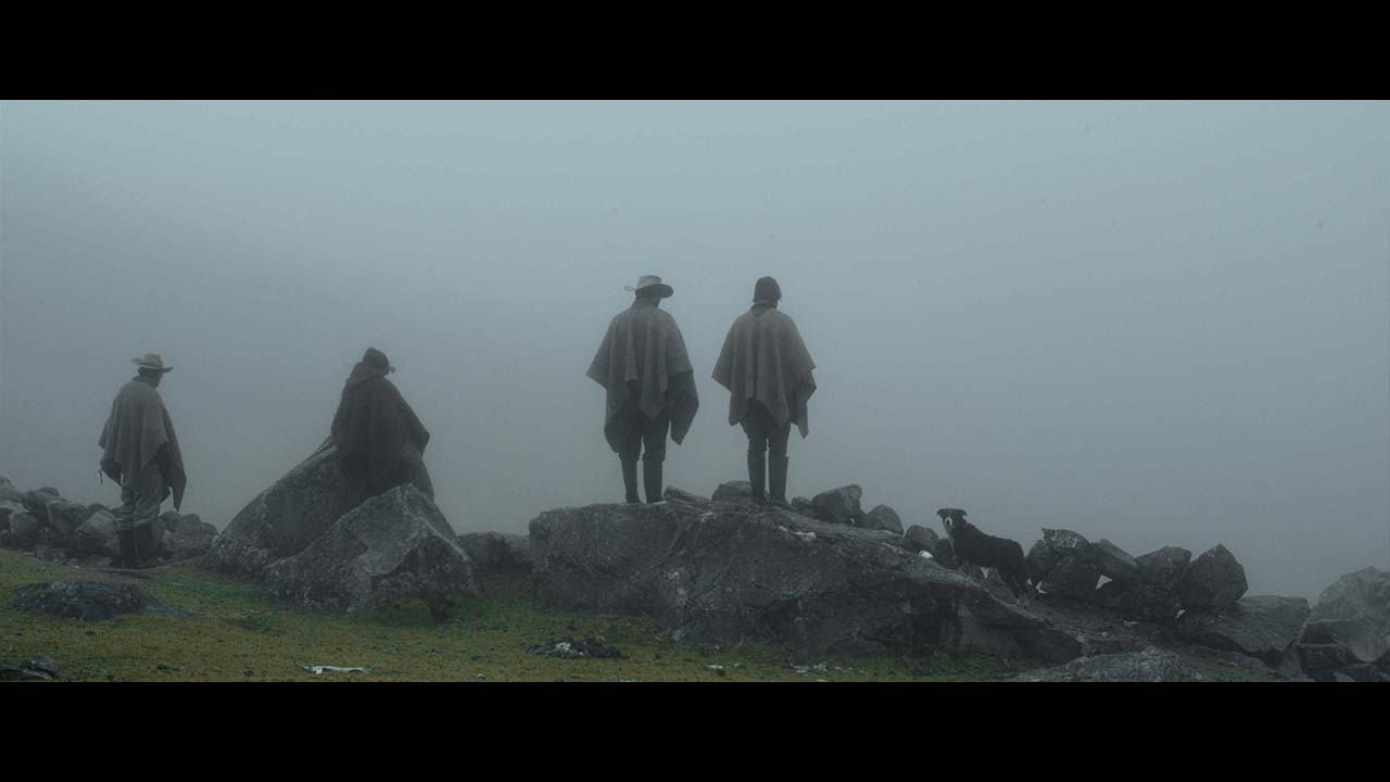 Fondo