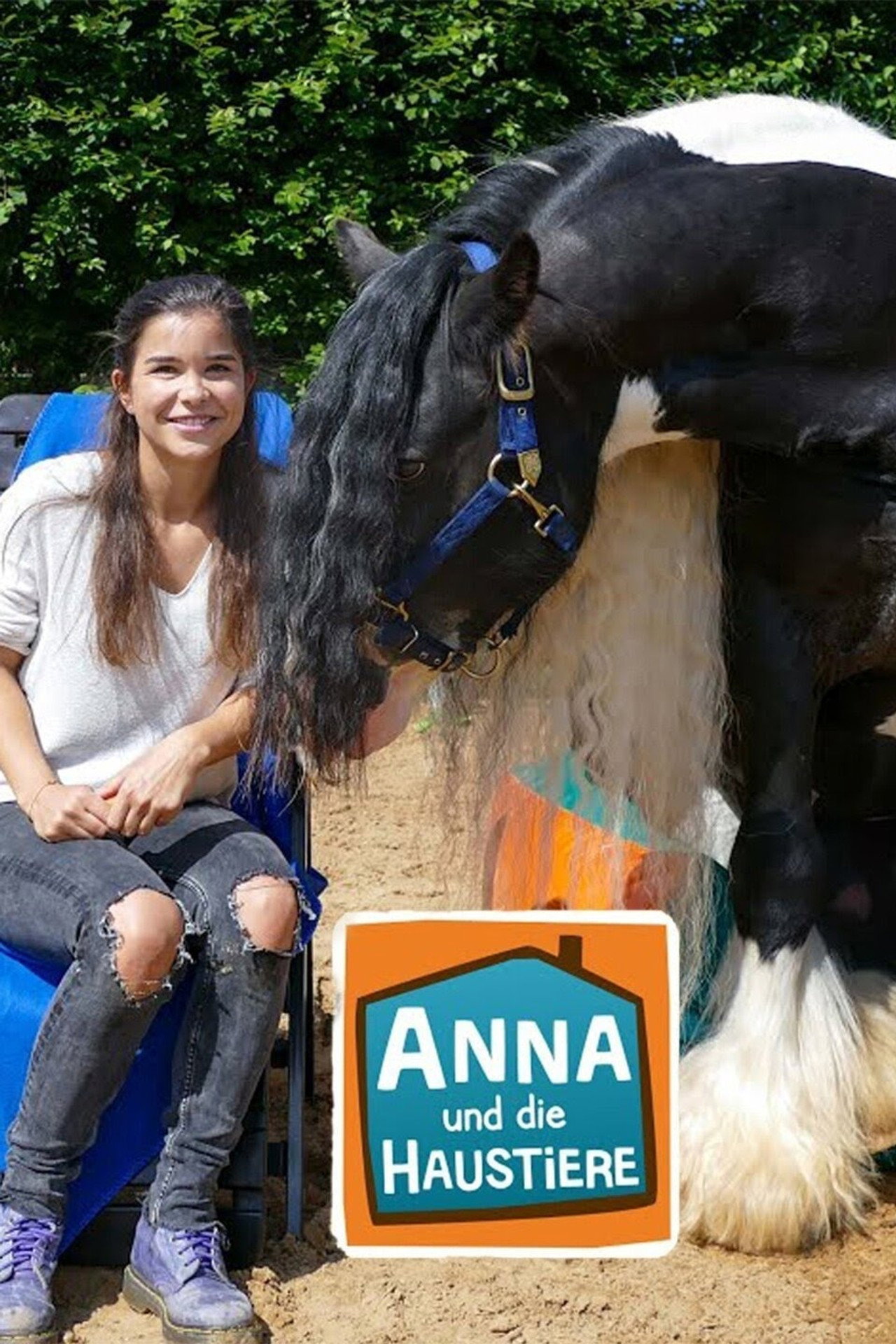 Anna und die Haustiere affisch