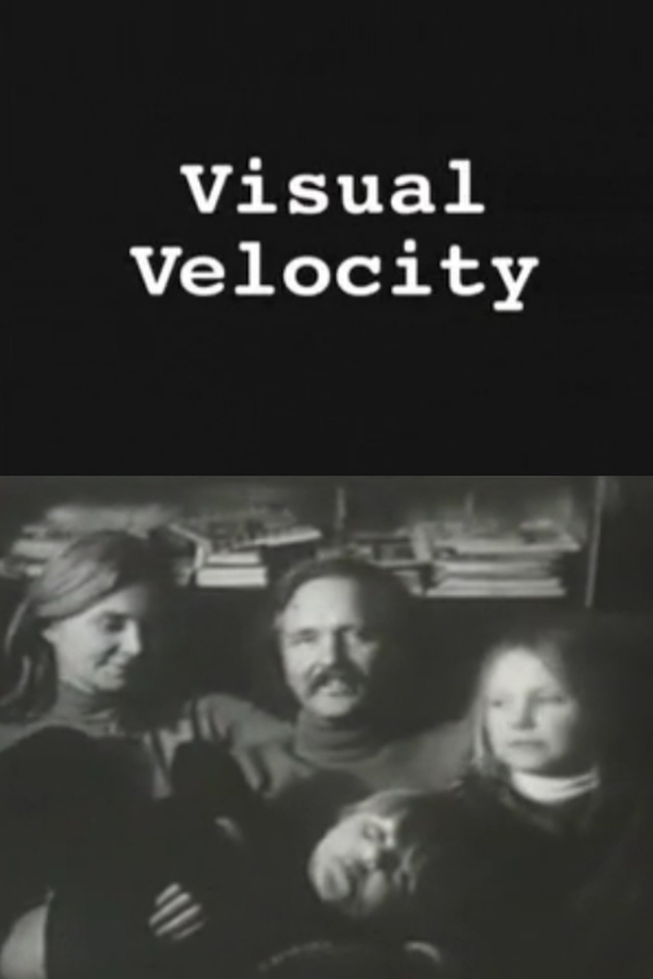 Visual Velocity: The Work of Stan VanDerBeek Visual Velocity: The Work of Stan VanDerBeek