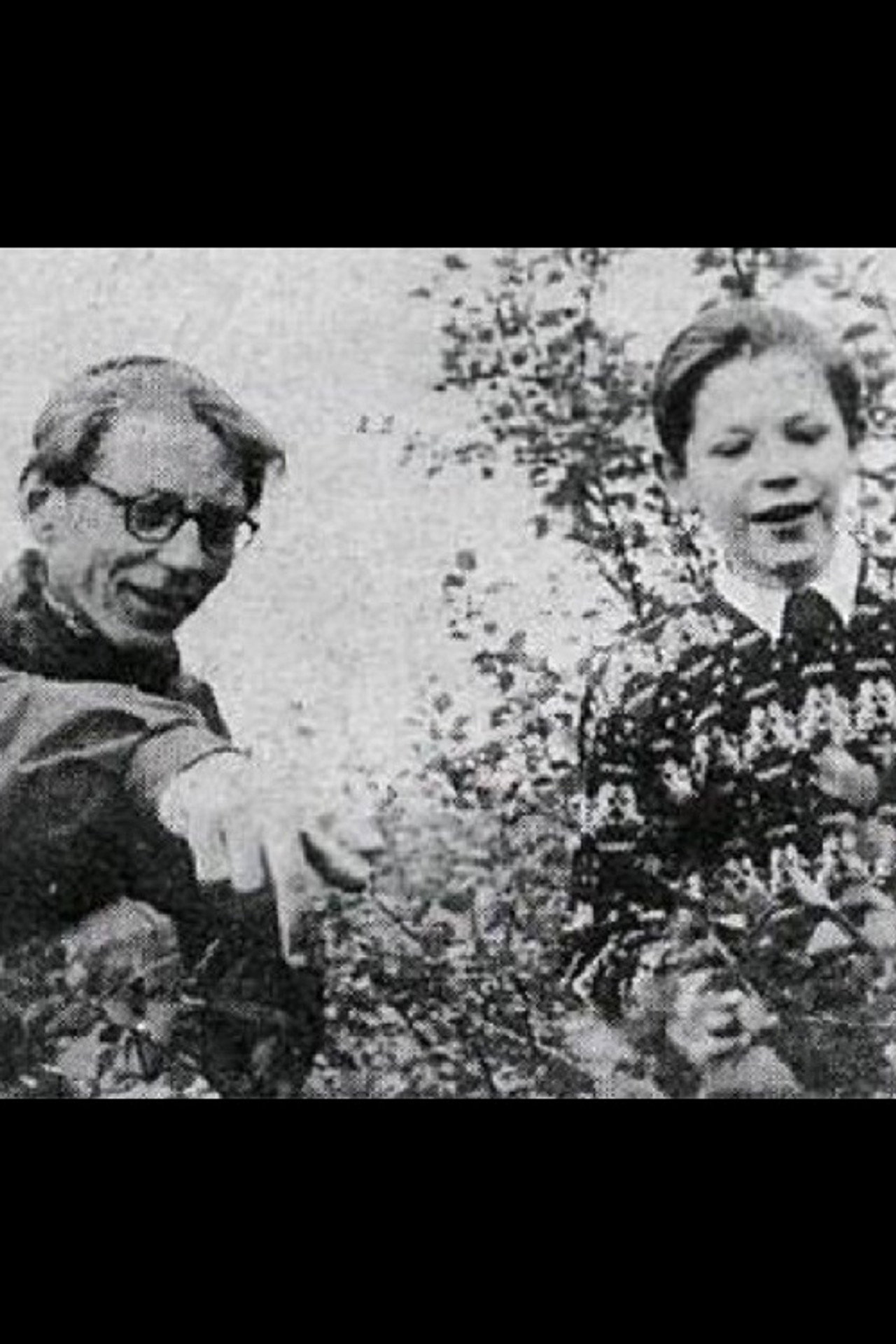 The Hillside Is Beautiful Backdrop