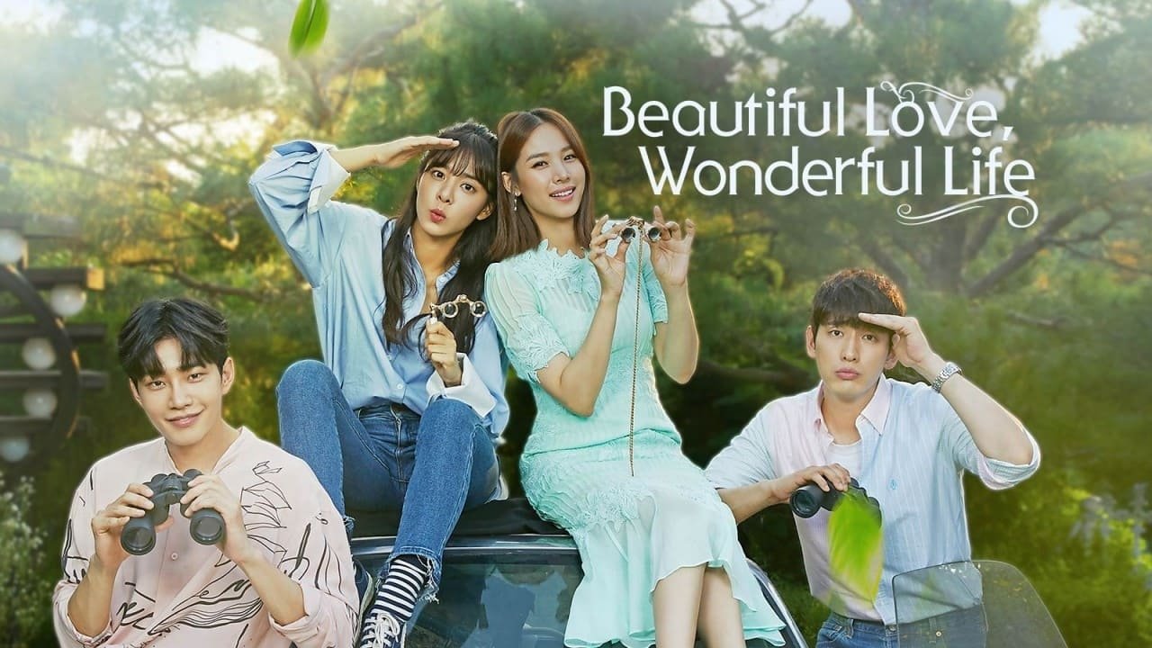 Beautiful Love, Wonderful Life