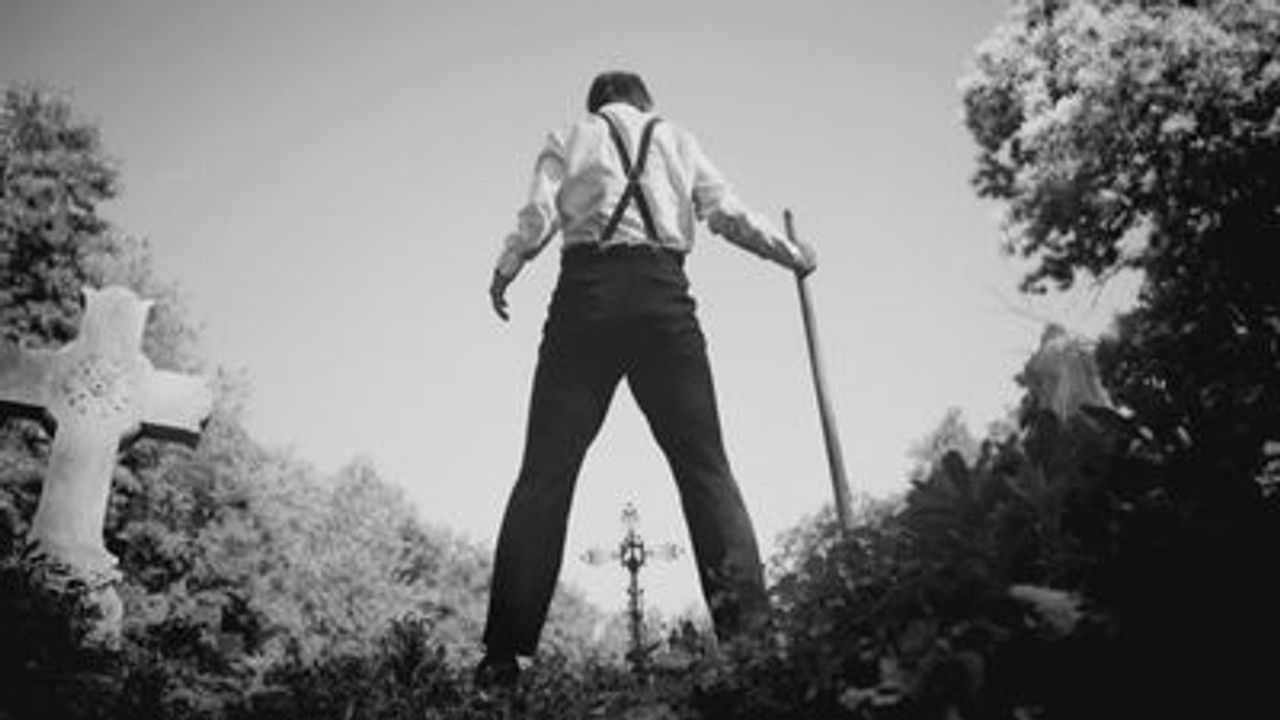 Lazy Company — Petits secrets