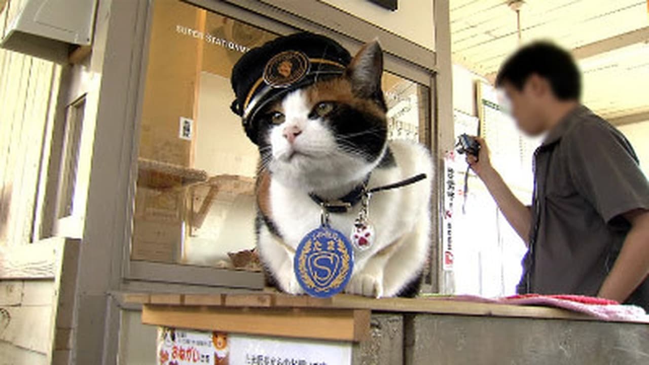 Japan Railway Journal - Season 2 Episode 7 : The Cat Stationmaster Who Rescued a Railway