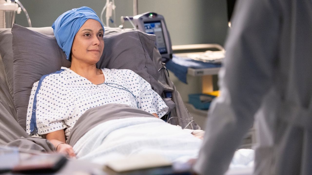 Grey's Anatomy - Season 19 Episode 10 : Sisters Are Doin' It for Themselves