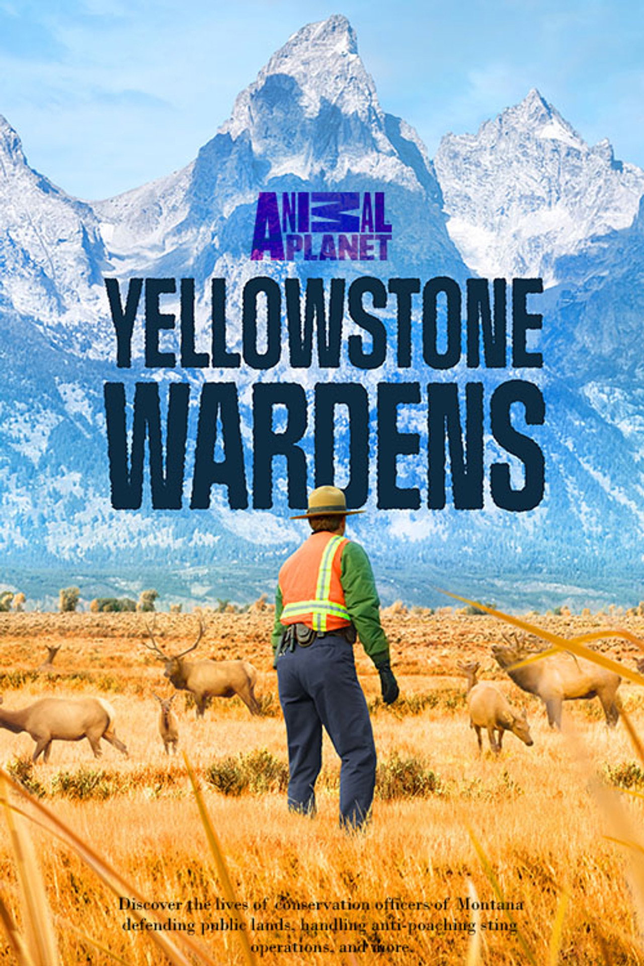 Yellowstone Wardens still 3