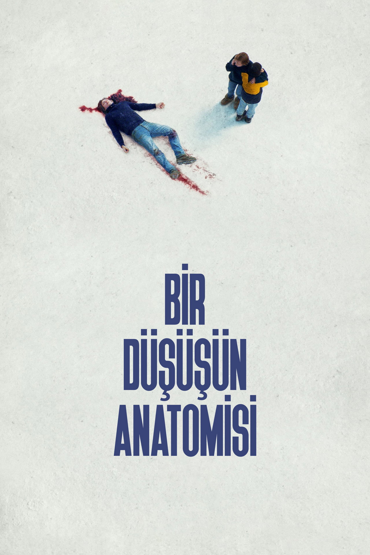 Bir Düşüşün Anatomisi Poster